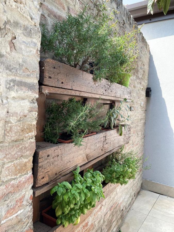 Al Ruderino Otel Comacchio Dış mekan fotoğraf
